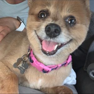 Meet your Posher, Ashley